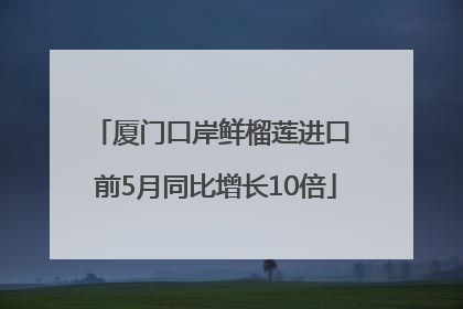 厦门口岸鲜榴莲进口 前5月同比增长10倍