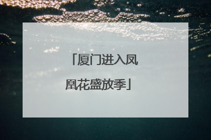 厦门进入凤凰花盛放季