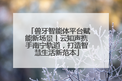 兽牙智能体平台赋能新场景丨云知声携手南宁轨道，打造智慧生活新范本