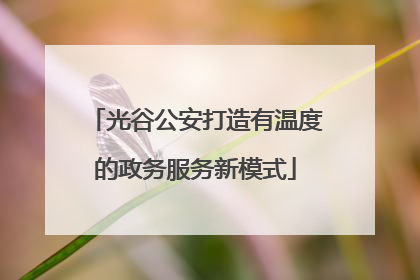 光谷公安打造有温度的政务服务新模式