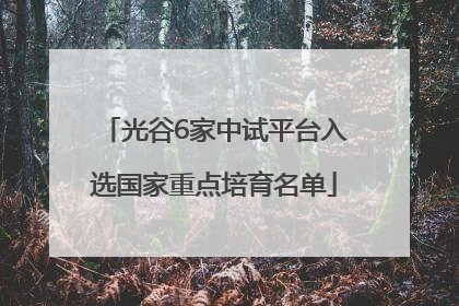 光谷6家中试平台入选国家重点培育名单