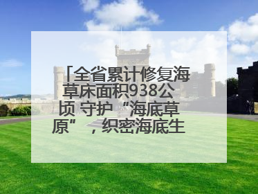 全省累计修复海草床面积938公顷 守护“海底草原”，织密海底生态“一张网”