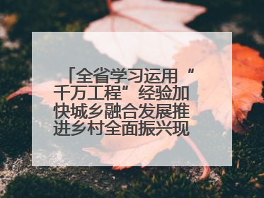 全省学习运用“千万工程”经验加快城乡融合发展推进乡村全面振兴现场会在上杭举行
