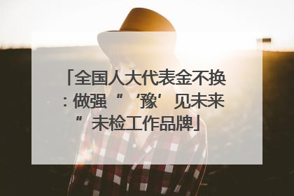 全国人大代表金不换：做强“‘豫’见未来”未检工作品牌