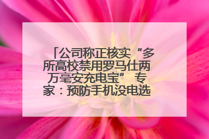 公司称正核实“多所高校禁用罗马仕两万毫安充电宝” 专家：预防手机没电选中等体积产品即可