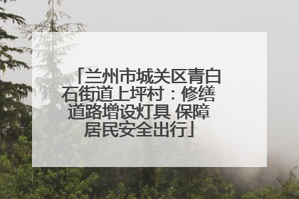 兰州市城关区青白石街道上坪村：修缮道路增设灯具 保障居民安全出行