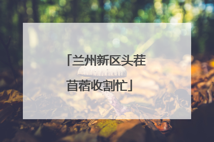兰州新区头茬苜蓿收割忙