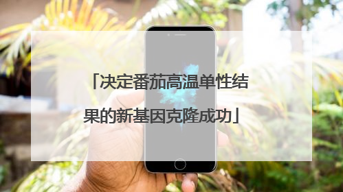 决定番茄高温单性结果的新基因克隆成功