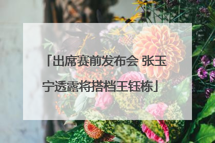 出席赛前发布会 张玉宁透露将搭档王钰栋