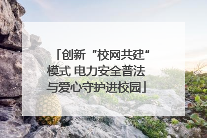 创新“校网共建”模式 电力安全普法与爱心守护进校园