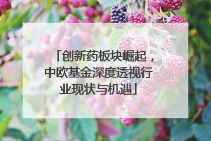 创新药板块崛起，中欧基金深度透视行业现状与机遇