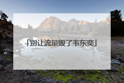 别让流量毁了韦东奕