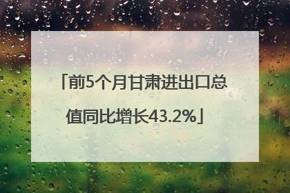 前5个月甘肃进出口总值同比增长43.2%