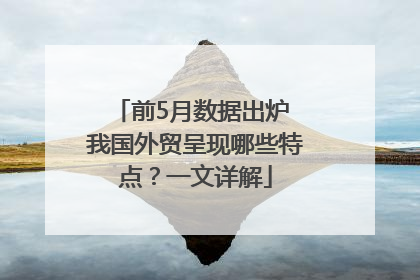 前5月数据出炉 我国外贸呈现哪些特点？一文详解
