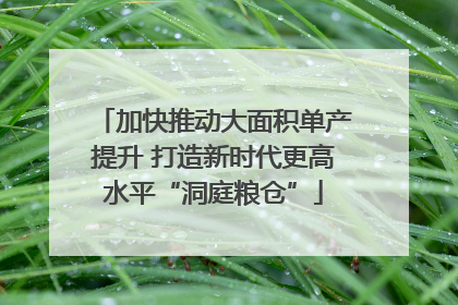 加快推动大面积单产提升 打造新时代更高水平“洞庭粮仓”