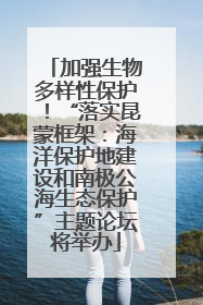 加强生物多样性保护！“落实昆蒙框架：海洋保护地建设和南极公海生态保护”主题论坛将举办