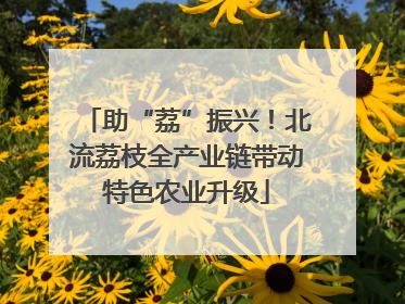 助“荔”振兴！北流荔枝全产业链带动特色农业升级