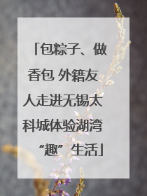 包粽子、做香包 外籍友人走进无锡太科城体验湖湾“趣”生活