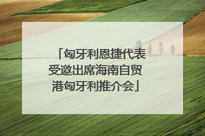匈牙利恩捷代表受邀出席海南自贸港匈牙利推介会