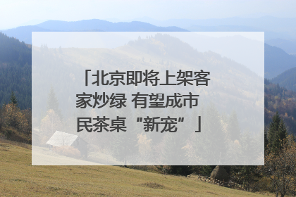 北京即将上架客家炒绿 有望成市民茶桌“新宠”