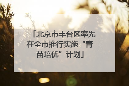 北京市丰台区率先在全市推行实施“青苗培优”计划