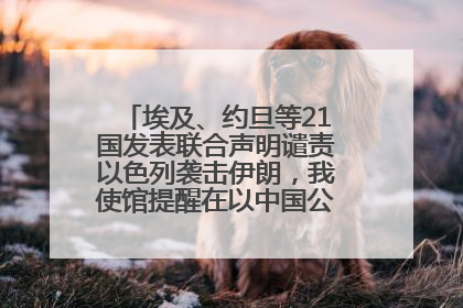 埃及、约旦等21国发表联合声明谴责以色列袭击伊朗，我使馆提醒在以中国公民尽快陆路离境