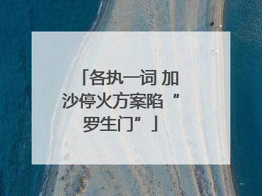各执一词 加沙停火方案陷“罗生门”