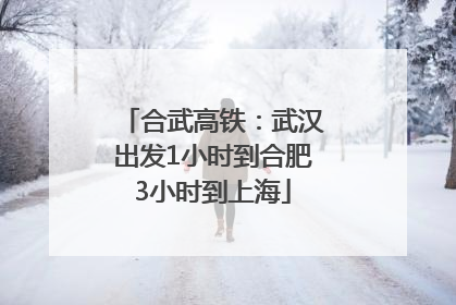 合武高铁：武汉出发1小时到合肥3小时到上海