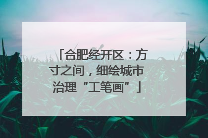 合肥经开区：方寸之间，细绘城市治理“工笔画”
