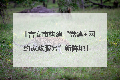 吉安市构建“党建+网约家政服务”新阵地
