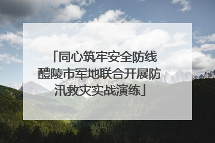 同心筑牢安全防线 醴陵市军地联合开展防汛救灾实战演练