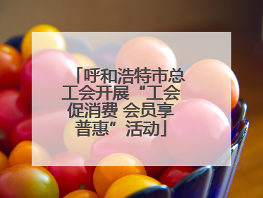 呼和浩特市总工会开展“工会促消费 会员享普惠”活动