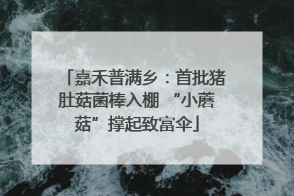 嘉禾普满乡：首批猪肚菇菌棒入棚 “小蘑菇”撑起致富伞