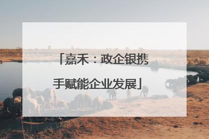 嘉禾：政企银携手赋能企业发展