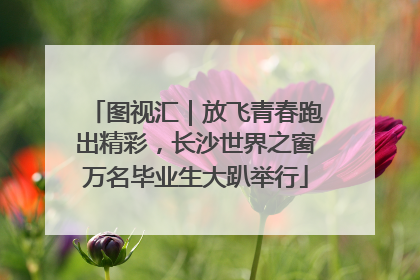 图视汇｜放飞青春跑出精彩，长沙世界之窗万名毕业生大趴举行