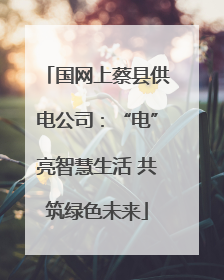 国网上蔡县供电公司：“电”亮智慧生活 共筑绿色未来