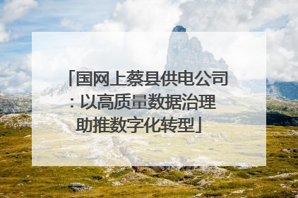 国网上蔡县供电公司：以高质量数据治理 助推数字化转型