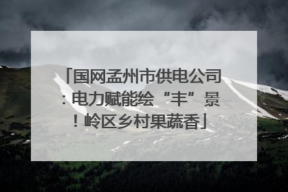 国网孟州市供电公司：电力赋能绘“丰”景！岭区乡村果蔬香