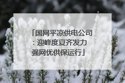 国网平凉供电公司：迎峰度夏齐发力 强网优供保运行