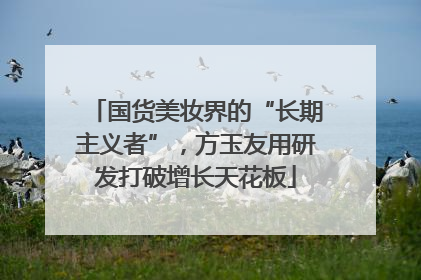 国货美妆界的“长期主义者”，方玉友用研发打破增长天花板