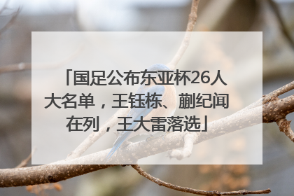 国足公布东亚杯26人大名单，王钰栋、蒯纪闻在列，王大雷落选