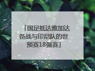 国足抵达雅加达备战与印尼队的世预赛18强赛