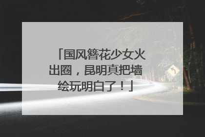国风簪花少女火出圈，昆明真把墙绘玩明白了！