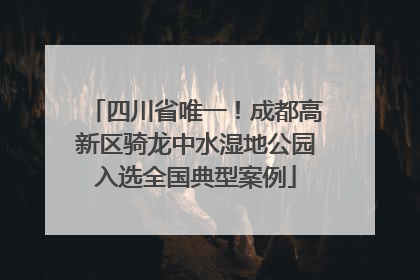 四川省唯一！成都高新区骑龙中水湿地公园入选全国典型案例