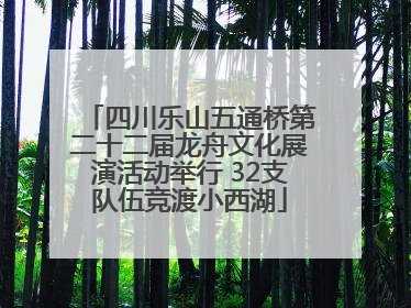 四川乐山五通桥第二十二届龙舟文化展演活动举行 32支队伍竞渡小西湖