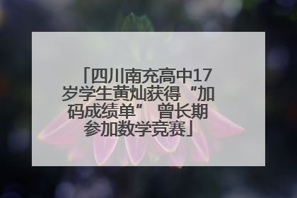 四川南充高中17岁学生黄灿获得“加码成绩单” 曾长期参加数学竞赛