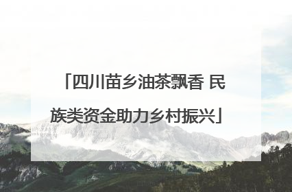 四川苗乡油茶飘香 民族类资金助力乡村振兴