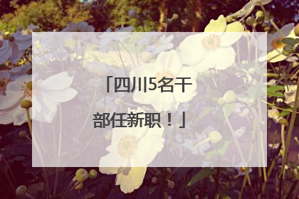 四川5名干部任新职！