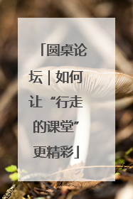 圆桌论坛｜如何让“行走的课堂”更精彩
