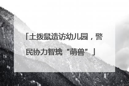 土拨鼠造访幼儿园，警民协力智擒“萌兽”